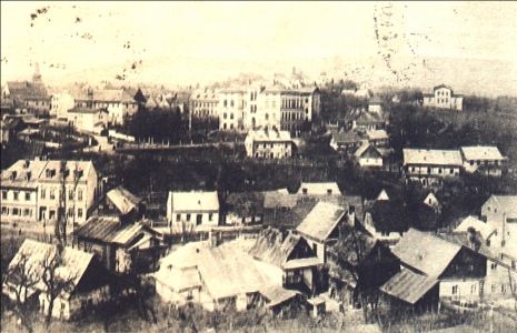 Celkový pohled na Dolánky z Ptačího vrchu. Původní zástavba kolem Masarykovy ulice. Konec 19. století.