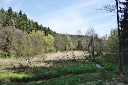 Zourov