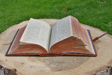 Bible